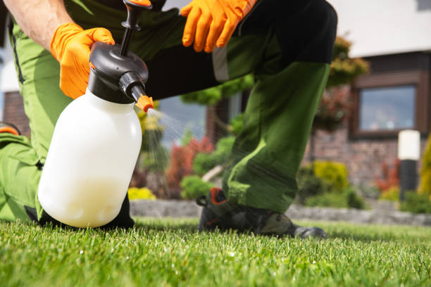 Best Residential Pest Control  in Keenesburg, CO