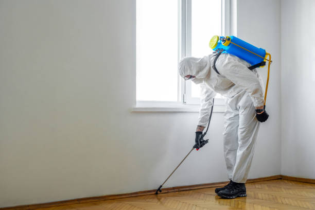 Best Pest Control Near Me in Keenesburg, CO