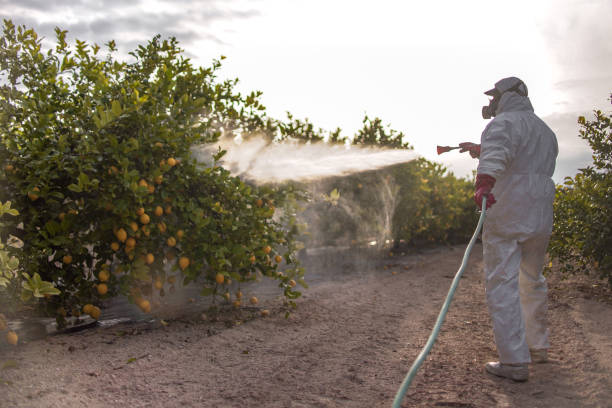 Best Wildlife Control Services  in Keenesburg, CO