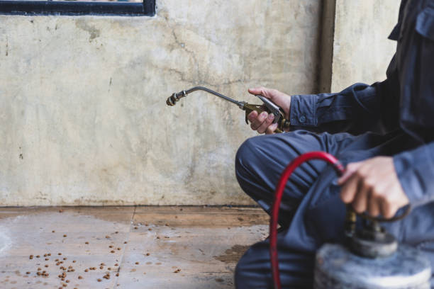 Best Emergency Pest Control  in Keenesburg, CO