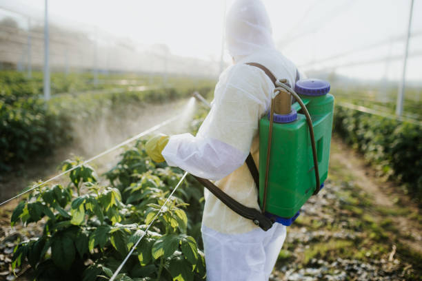 Pest Control Cost in Keenesburg, CO